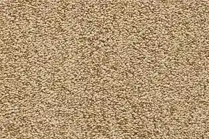 Ковролин Bonkeel Parliament Mustard фото  | FLOORDEALER